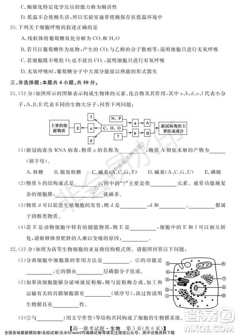 湖南省五市十校2021年12月高一年级联考试题生物答案