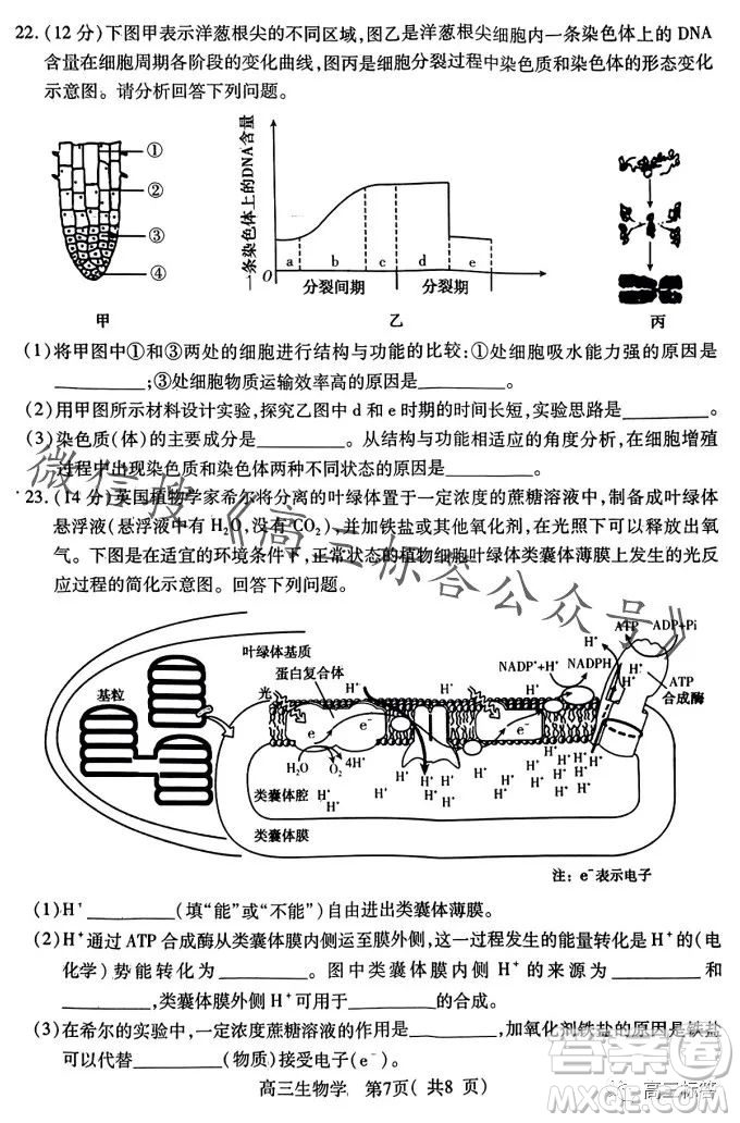 平许济洛2023-2024学年高三第一次质量检测生物试卷答案