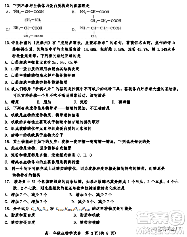 天津市河西区2023-2024高一上期中考试生物试题及答案
