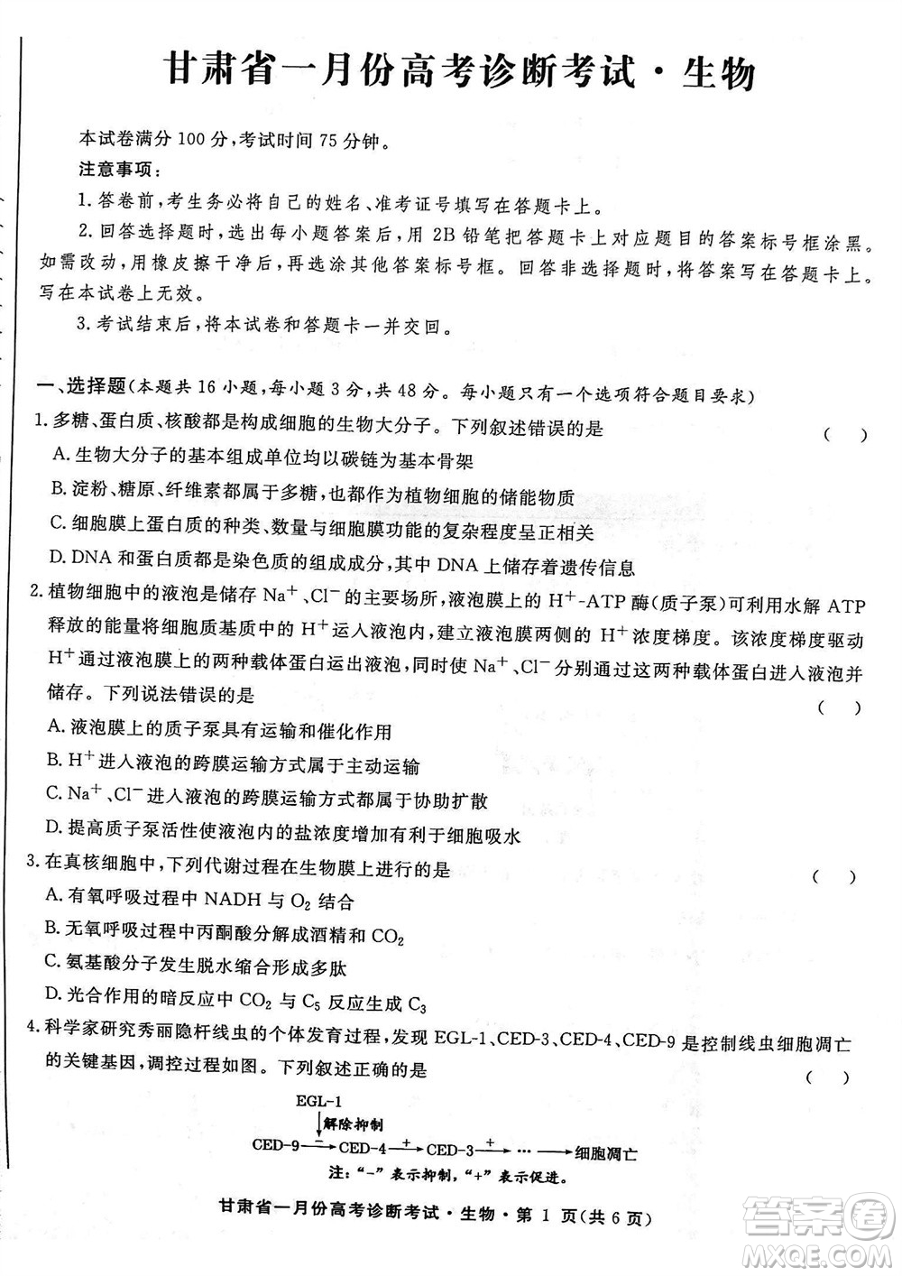 甘肃省2024届高三上学期1月高考诊断考试生物参考答案